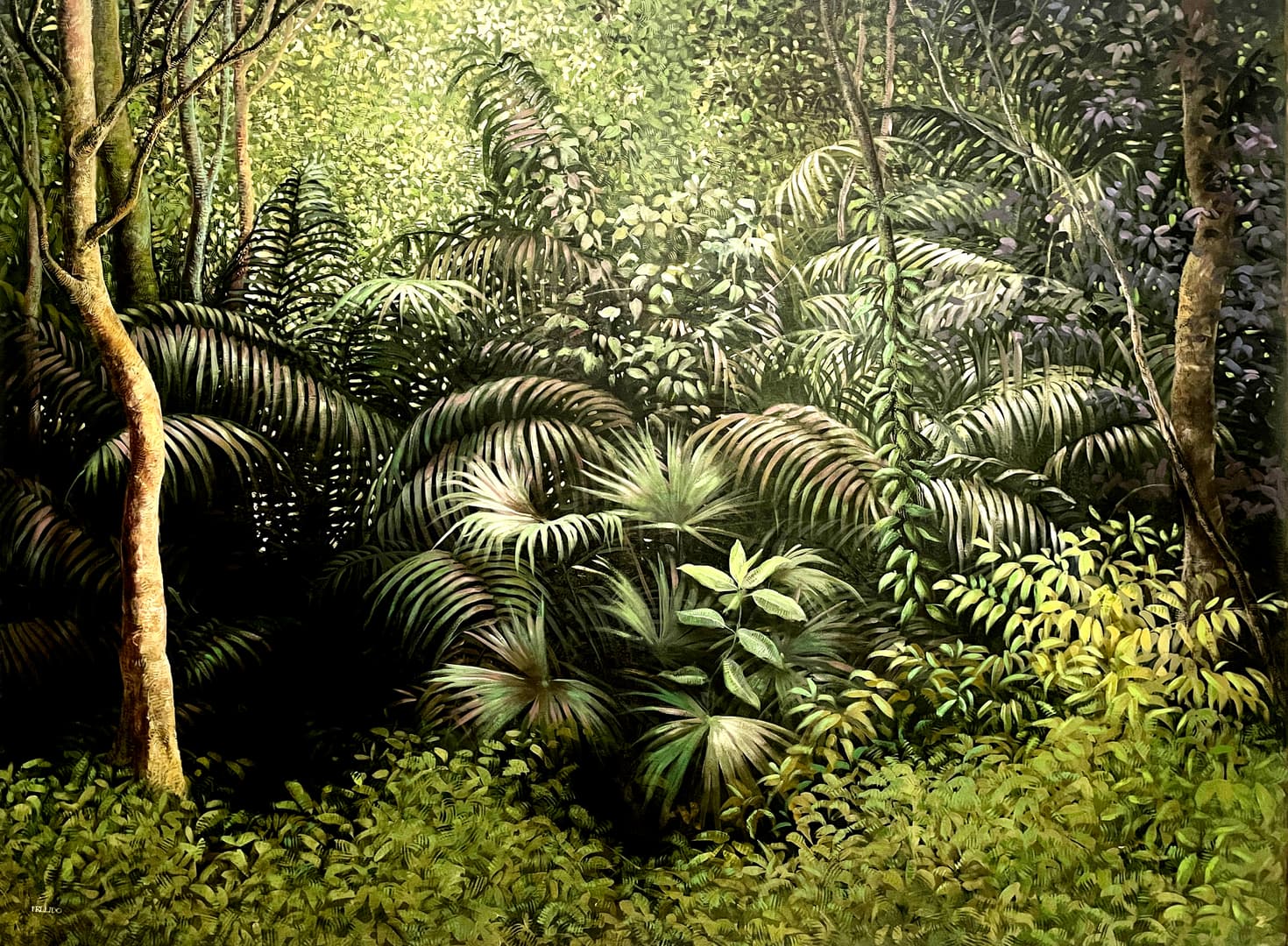 Bosque con Helechos