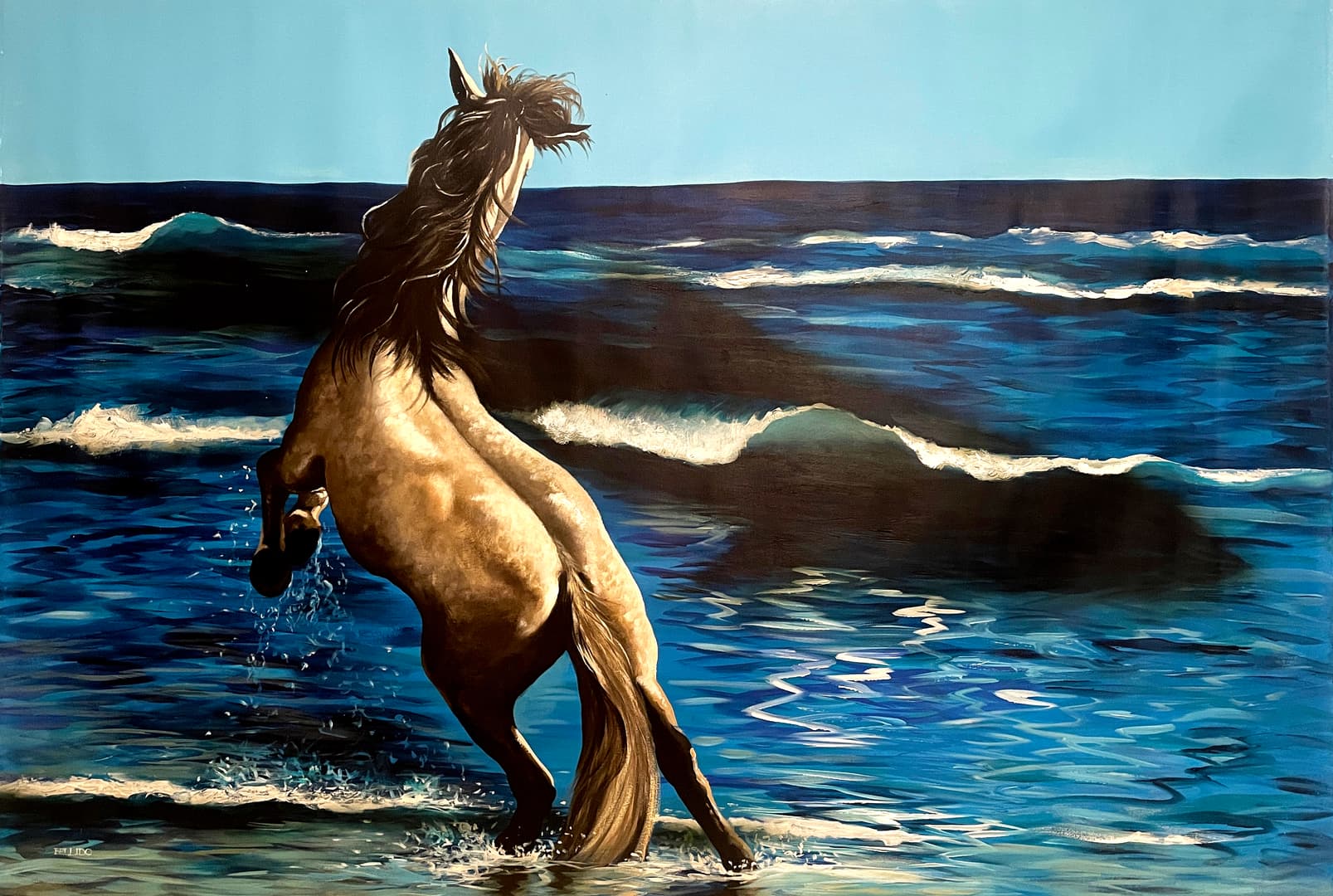 Caballo, mar y tiburón