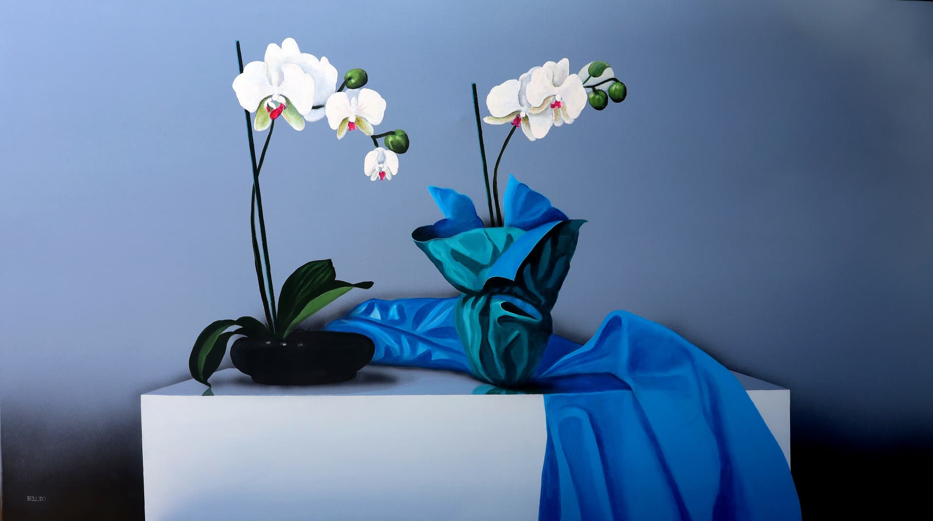 Orquídeas en la calma suspendida